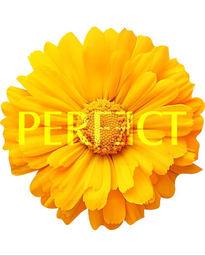 Sweatshirt Perfect Flower - Camale