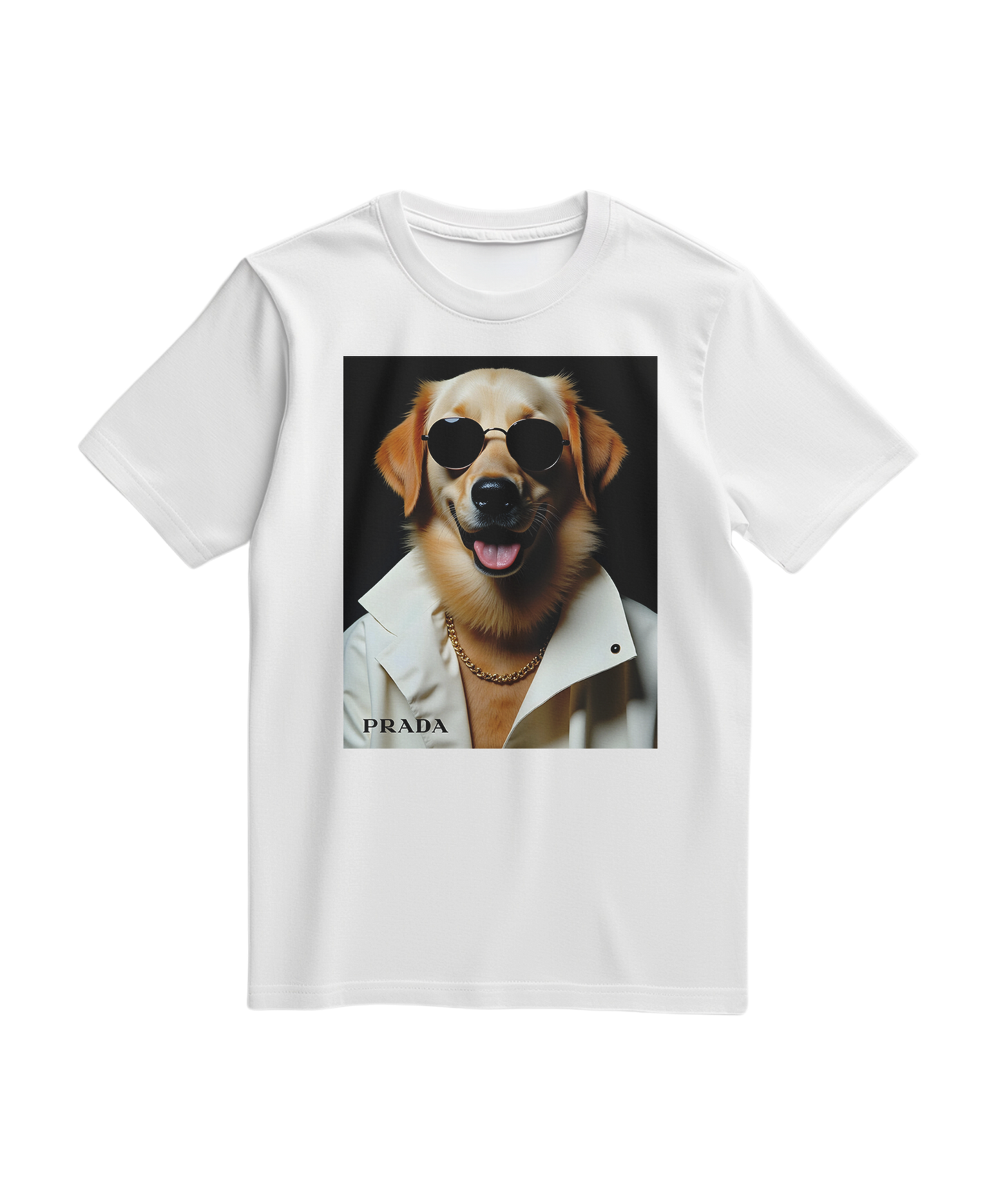 Camalestore T-shirt branca Golden Style, camiseta de algodão com design moderno, vista frontal na imagem.