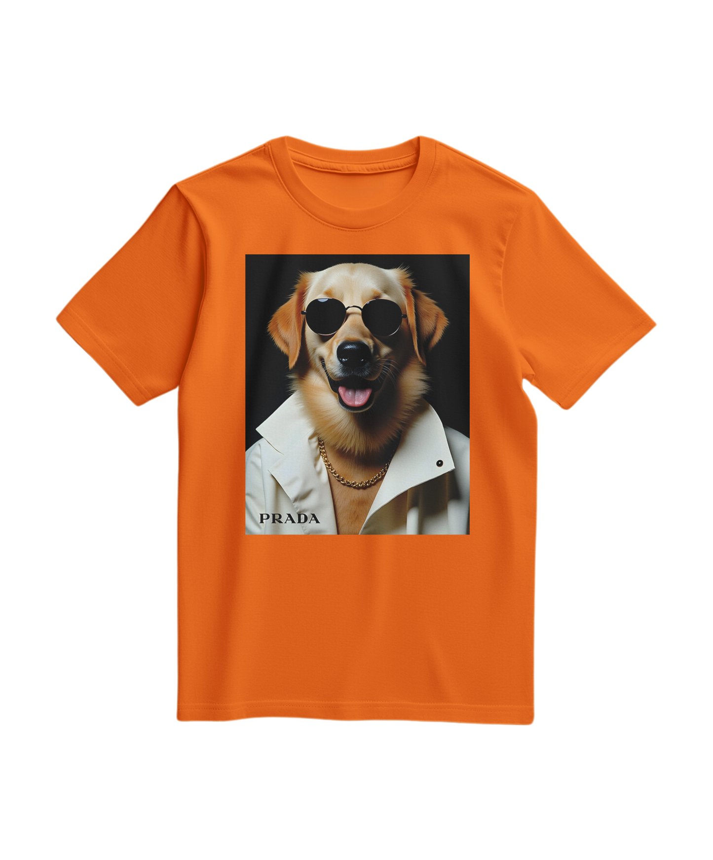 Camiseta laranja Golden Style da Camalestore, t-shirt casual com design colorido, vista de frente com detalhes visíveis.