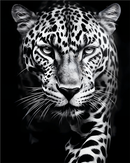 Sweatshirt Leopard B&W - Camale