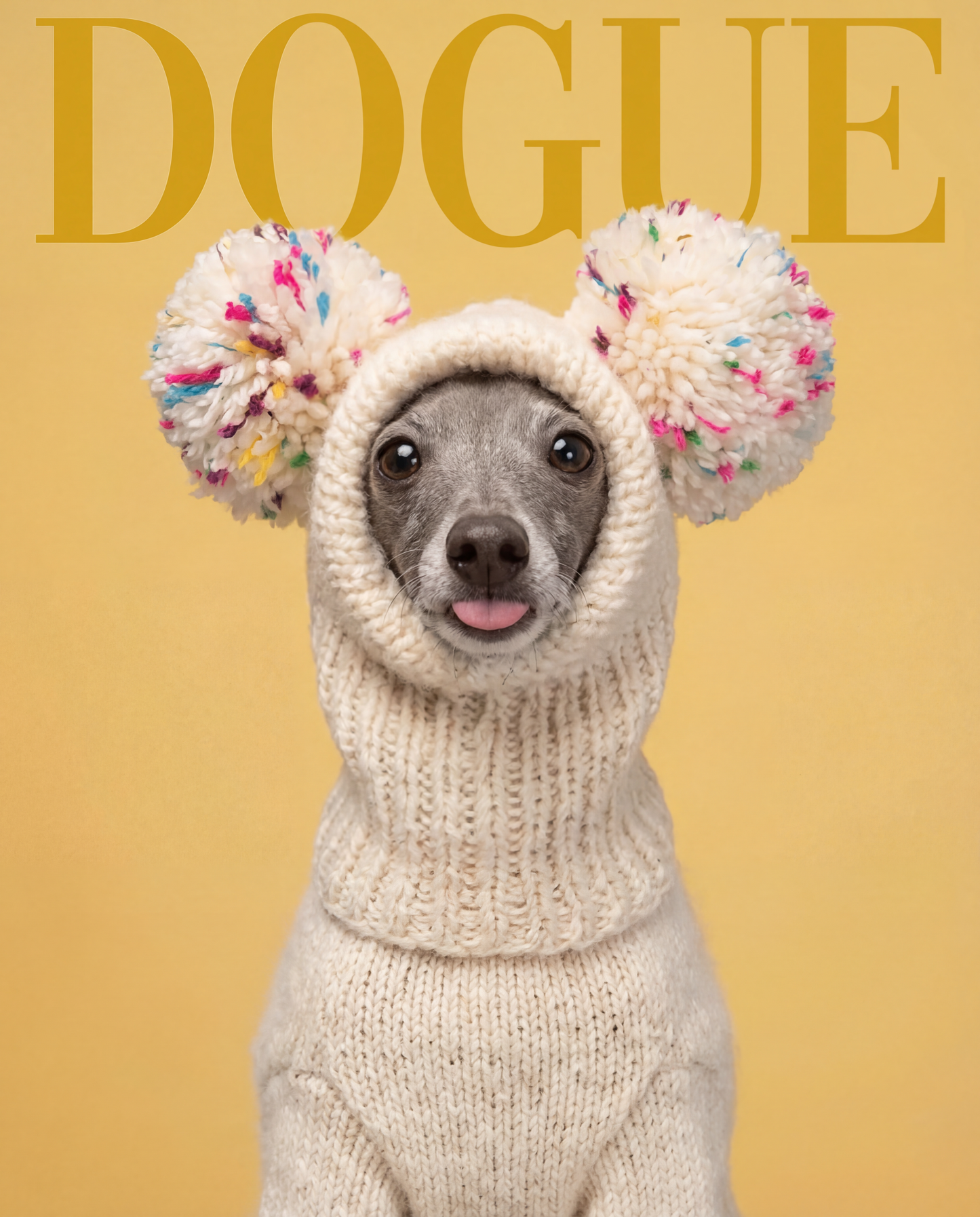 Sweatshirt Yellow Dogue - Camale