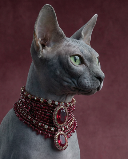 Sweatshirt Sphynx Royalty - Camale