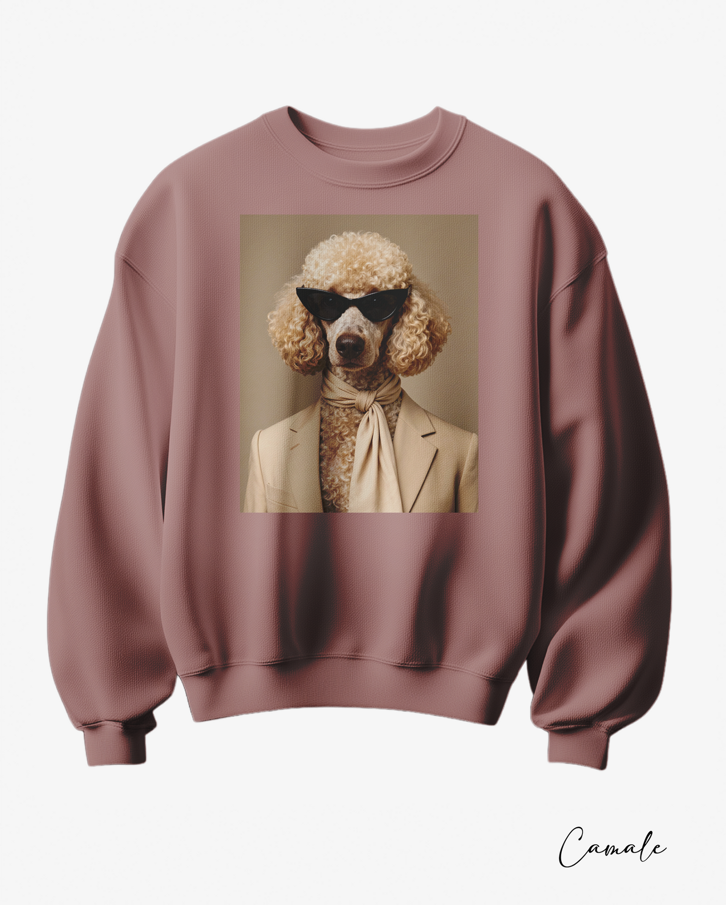 Sweatshirt poodle in Paris - Camale