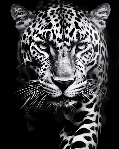 T-shirt Leopard Instinct