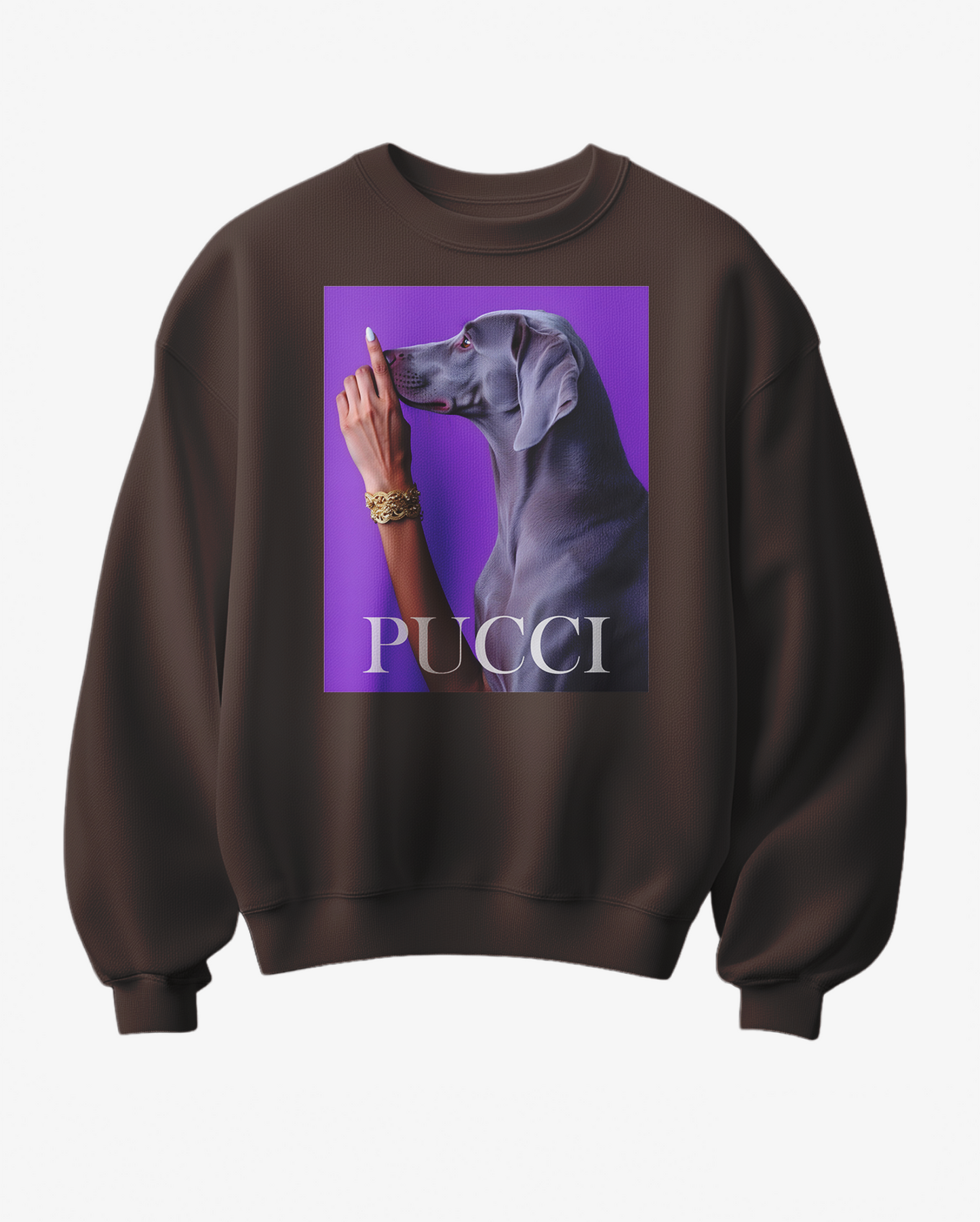 Sweatshirt Pucci Grey Wei - Camale
