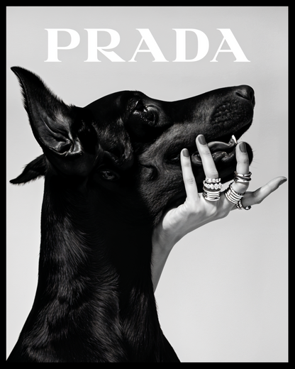 T-shirt Doberhand